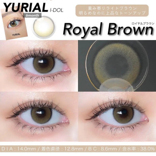 [1Year]I-DOL URIA Yurial Royal Brown